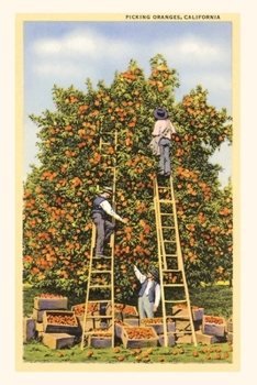 Paperback Vintage Journal Picking Oranges in California Book