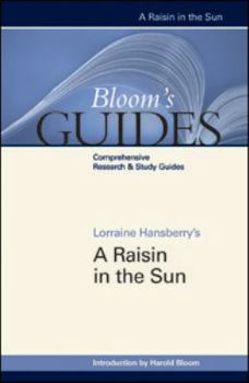 Hardcover A Raisin in the Sun Book