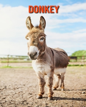 Paperback Donkey: Amazing Photos & Fun Facts Book About Donkey For Kids Book