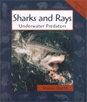 Library Binding Sharks and Rays: Underwater Predators Book