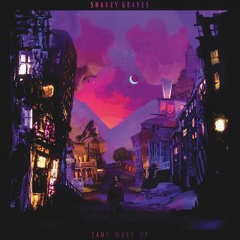 Vinyl Can't Wake Up Book