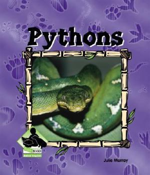 Pythons - Book  of the Buddy Books