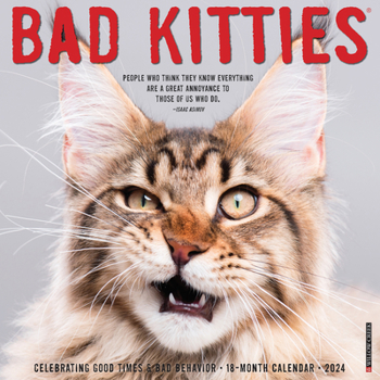 Calendar Bad Kitties 2024 12 X 12 Wall Calendar Book