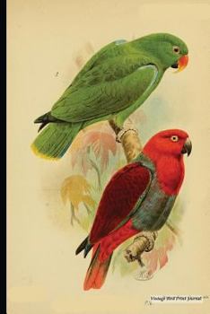 Vintage Bird Print Journal : Westerman's Eclectus Parrot, 6 X 9 Vintage Bird Decor Print Journal - [Lined Journal]