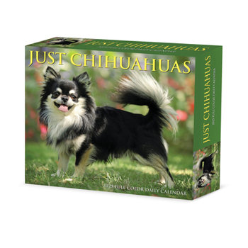 Calendar Chihuahuas 2025 6.2 X 5.4 Box Calendar Book