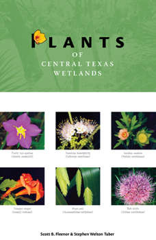 Plants of Central Texas Wetlands (Grover E. Murray Series in the American Southwest) - Book  of the Grover E. Murray Studies in the American Southwest