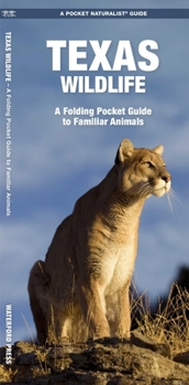 Paperback Texas Wildlife: An Introduction to Familiar Species Book