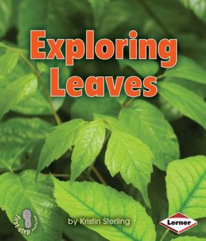 Paperback Exploring Leaves Book