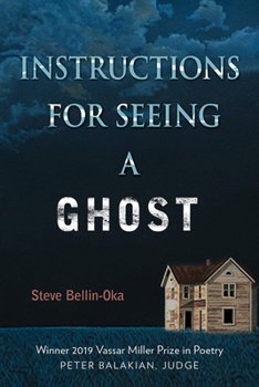 Paperback Instructions for Seeing a Ghost Book