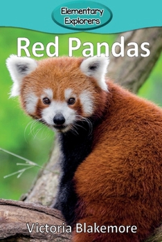 Paperback Red Pandas Book