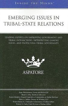 Paperback Emerging Issues in Tribal-State Relations: Leading Experts on Improving Government and Tribal Interactions, Interpreting Gaming Issues, and Protecting Tribal Sovereignty (Inside the Minds) Book