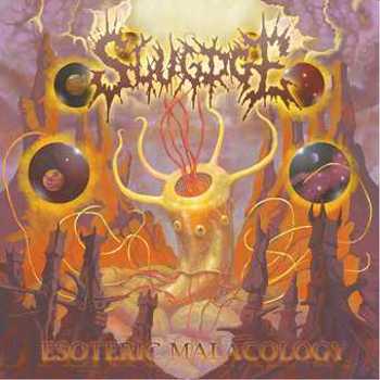 Music - CD Esoteric Malacology Book