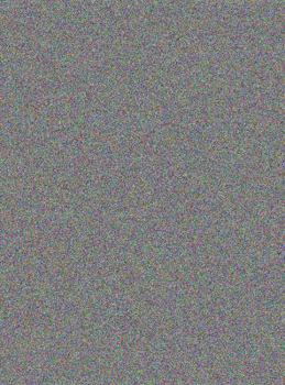 Library Binding The Cyclopes Book