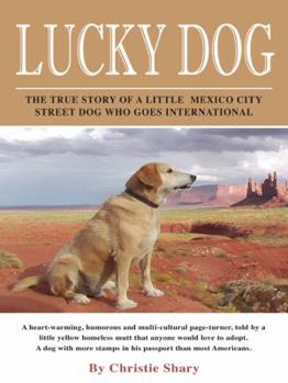 Paperback Lucky Dog Book