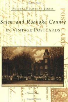 Paperback Salem and Roanoke County in Vintage Postcards Book