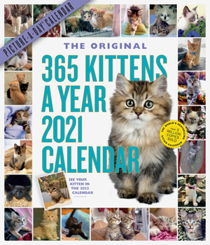 Calendar 365 Kittens-A-Year Picture-A-Day Wall Calendar 2021 Book