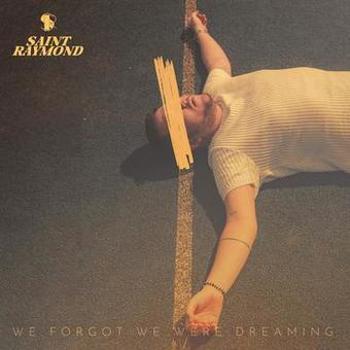 Vinyl We Forgot We Were Dreaming Book