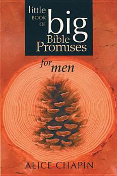 Paperback Little Book of Big Bible Promises for Men Book