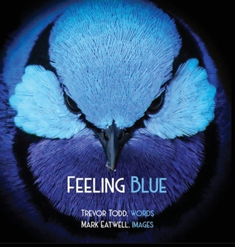 Hardcover Feeling Blue Book