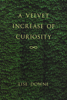 Paperback A Velvet Increase of Curiosity Book