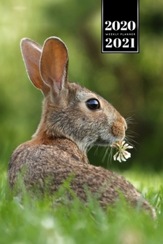 Rabbit Bunny Hare Rodent Week Planner Weekly Organizer Calendar 2020 / 2021 - Flower in Mouth: Cute Wildlife Animal Pet Bullet Journal Notebook Diary in 6” x 9” Inch Pocket Size