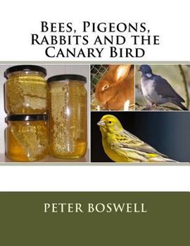 Paperback Bees, Pigeons, Rabbits and the Canary Bird Book