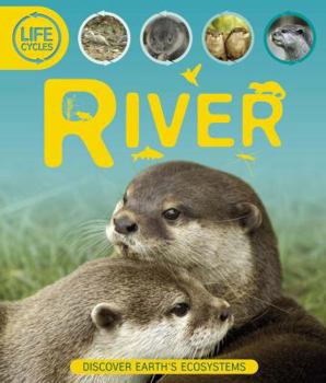 Hardcover Life Cycles: River Book