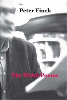 Paperback The Welsh Poems Book