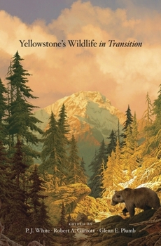 Hardcover Yellowstone's Wildlife in Transition Book