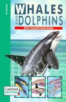 Hardcover Whales and Dolphins Book