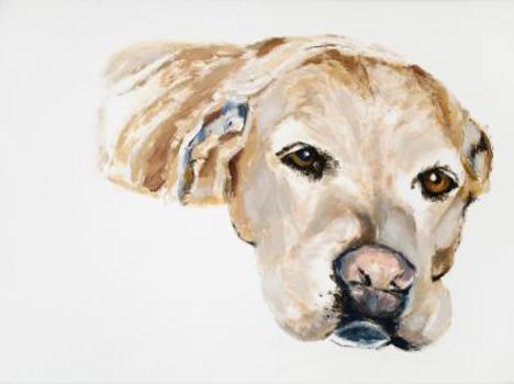 Hardcover The Rossman - a superhero at heart Book