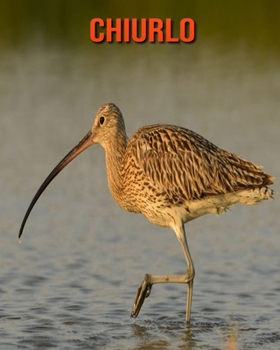 Chiurlo: Fantastici fatti e immagini (Italian Edition)