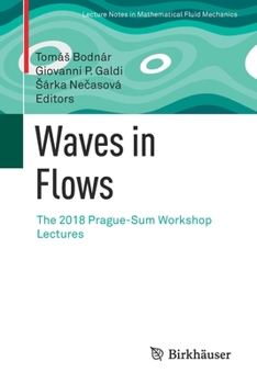 Paperback Waves in Flows: The 2018 Prague-Sum Workshop Lectures Book