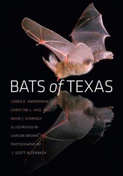 Paperback Bats of Texas Book