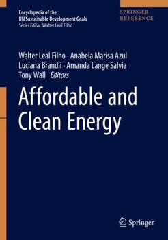 Hardcover Affordable and Clean Energy Book