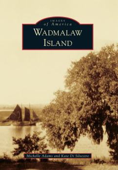 Paperback Wadmalaw Island Book