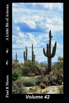 Paperback A Little Bit of Arizona: Volume 42 Book
