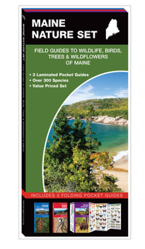 Pamphlet Maine Nature Set: Field Guides to Wildlife, Birds, Trees & Wildflowers of Maine Book