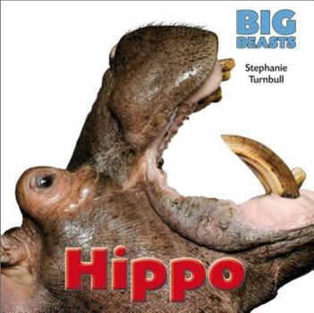 Hippo - Book  of the Big Beasts
