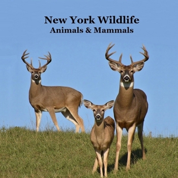 New York Animals and Mammals Kids Wildlife Book: Great Wildlife Book about Animals and Mammals in New York