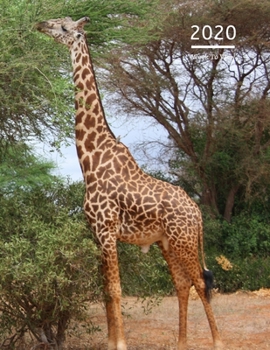 2020 A4 Diary Week To View Planner For All Occasions: | Year Planner For Business, Office, Home, University, College, School, Appointments, Organizer.