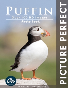 Paperback Puffin: Picture Perfect Photo Book