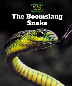 The Boomslang Snake - Book  of the Toxic Creatures