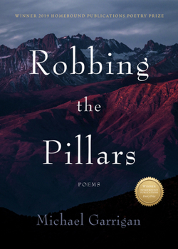 Paperback Robbing the Pillars: Poems Book