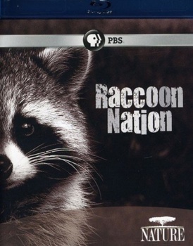 Blu-ray Nature: Raccoon Nation Book