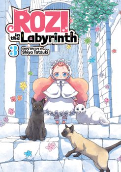 Paperback Rozi in the Labyrinth Vol. 3 Book