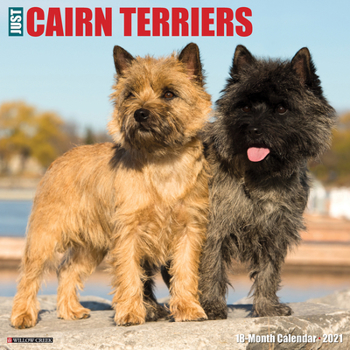 Calendar Just Cairn Terriers 2021 Wall Calendar (Dog Breed Calendar) Book