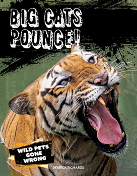 Paperback Big Cats Pounce! Book