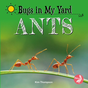 Paperback Ants Book