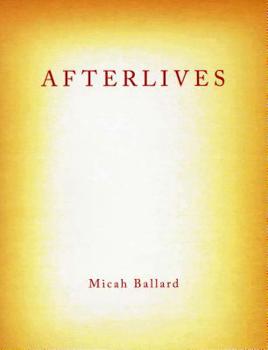 Paperback Afterlives Book